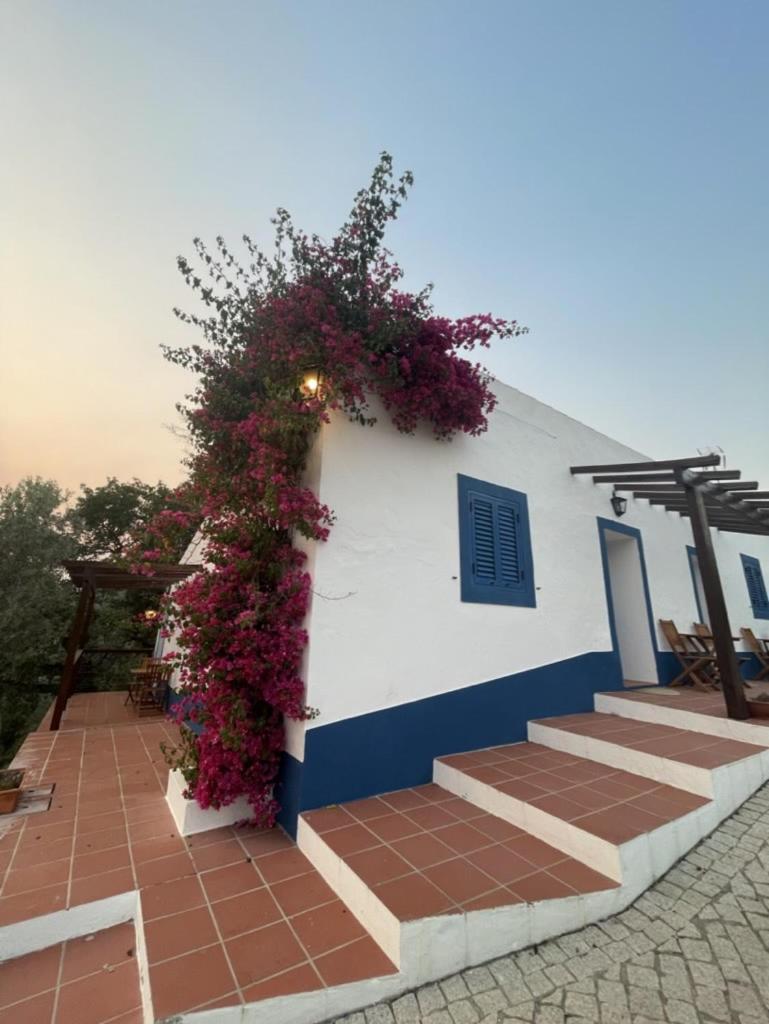 Bed and Breakfast Montes de Charme  Avis Exterior foto