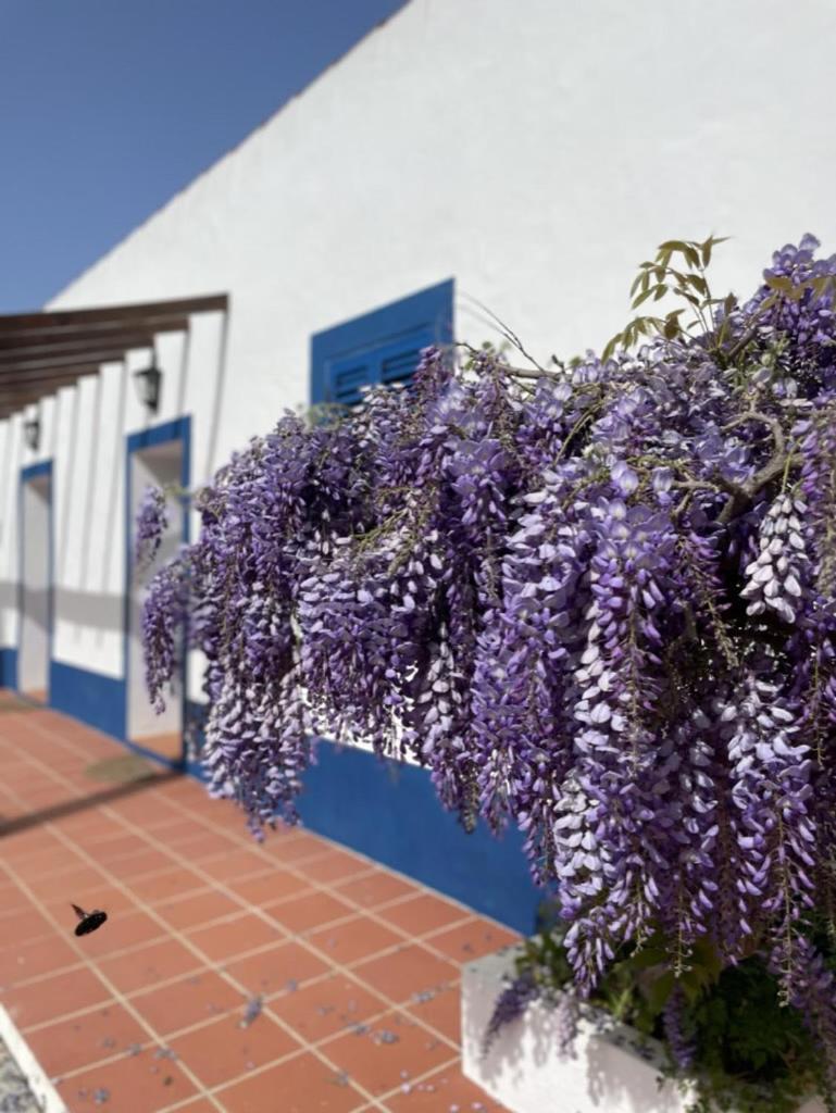 Bed and Breakfast Montes de Charme  Avis Exterior foto